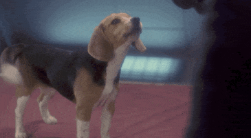 Dog Barking GIF by Star Trek