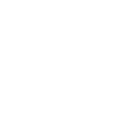 Record Label 90S Sticker by No Sleep Records
