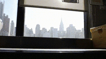 DHL Express GIF
