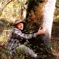 Tree Hug GIF by Four Rest Films