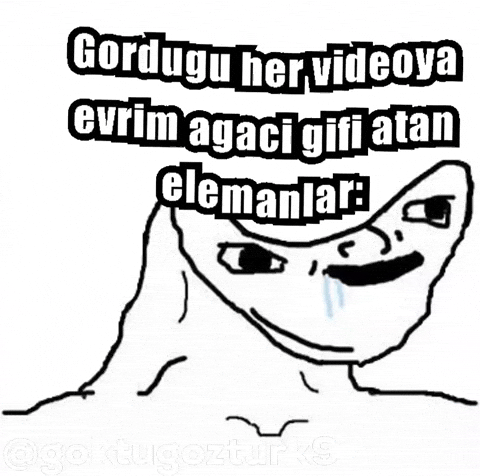 Goktugozturk9 GIF
