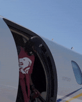 200.gif?cid=fc005b08210eb12c9ed8817cb71d7fcec66dd04aeead16df&rid=200.gif&ct=g