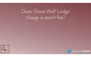 Great Wolf Lodge Faq GIF by Coupon Cause