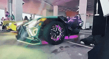 Slingshotrentals GIF by Slingshot Joe