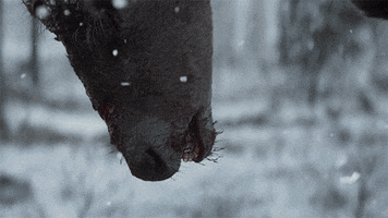 Xbox One Zombie GIF by Xbox