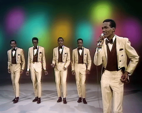 All I Need Girl GIF by The Ed Sullivan Show - Find & Share on GIPHY