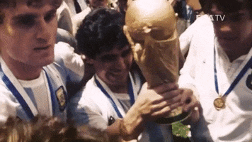 Happy Diego Maradona GIF by FIFA