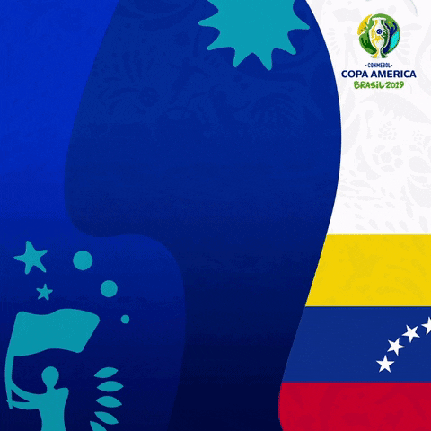 venezuela vibraocontinente GIF by Copa América