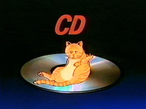Cd Stands For Cat Dance GIFs - Get the best GIF on GIPHY
