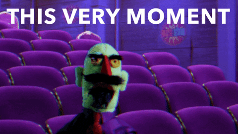Baby Python GIFs - Get the best GIF on GIPHY