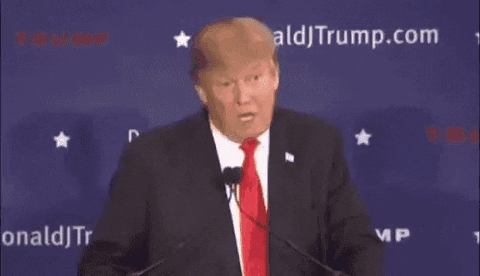 Trump Words GIF by moodman - Find & Share on GIPHY
