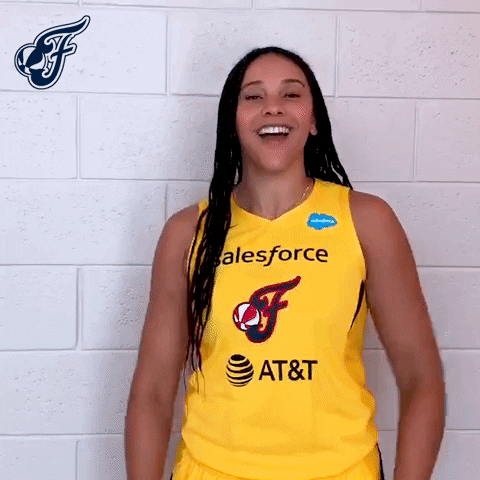 Not Funny Basketball GIF by Indiana Fever