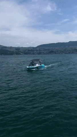 ceccotorenas boarding family GIF