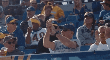 Football Celebrate GIF by Delaware Blue Hens