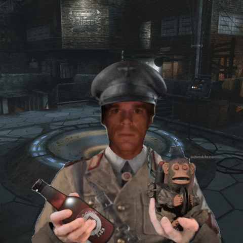 Call Of Duty Zombies GIF