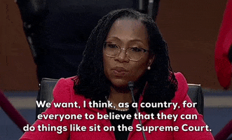 Senate Judiciary Committee Representation GIF by GIPHY News