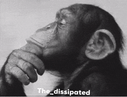 Monkey GIF