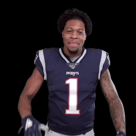 New England Patriots Applause GIF by NFL