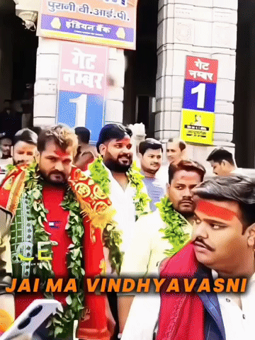 Yadav GIF