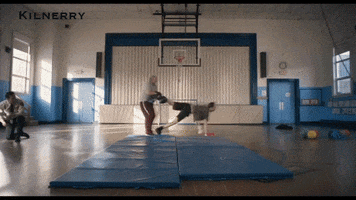 German Ball GIF by Love in Kilnerry