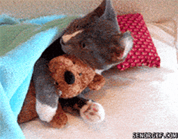 200.gif?cid=f0bdee701mgvy1z3u79nwwgn27a2ahx210e3a19p919bfe3r&rid=200.gif&ct=g