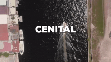 Dron GIF