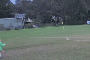 Ocsc GIF by Oldcamberwellsc