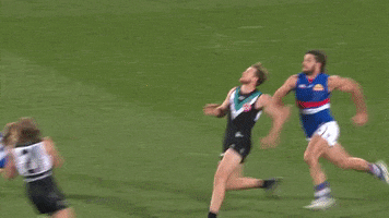 Football Mark GIF by Port Adelaide FC