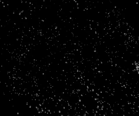 Season 5 Episode 3 GIF by Paramount+