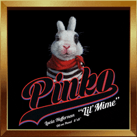 Bunny Rabbit GIF by PINKO