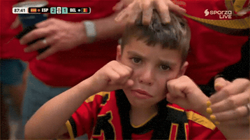 Belgium GIF