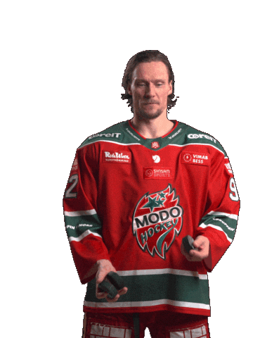 Sticker by MoDo Hockey