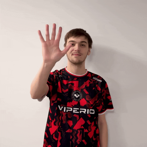 High Five Hands Up GIF by Viperio