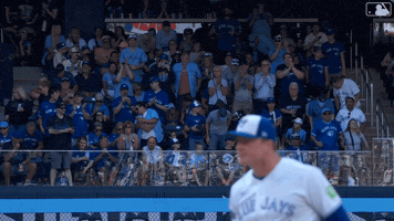Blue Jays Baseball GIF by Toronto Blue Jays
