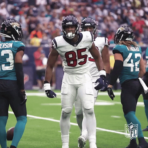 Happy Houston Texans GIF by NFL - Find & Share on GIPHY