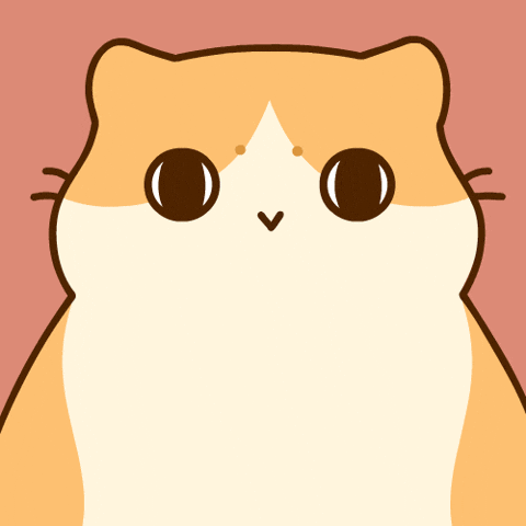 Flash Snap GIF by Bichi Mao