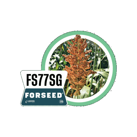 Forseedsementes Sticker by Longping High Tech