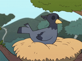 Animation GIF