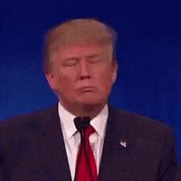 Donald Trump Head Nod GIF