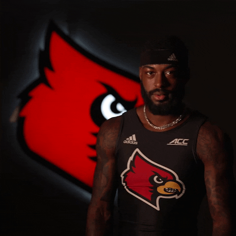 University Of Louisville Watch GIF by Louisville Cardinals