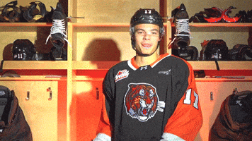 Medicine Hat Tigers GIF