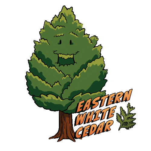 League of Trees Sticker