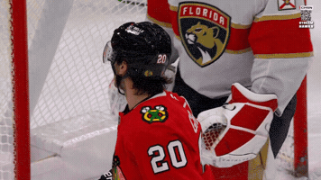 Chicago Blackhawks Hockey GIF