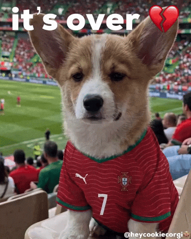 Football Save GIF