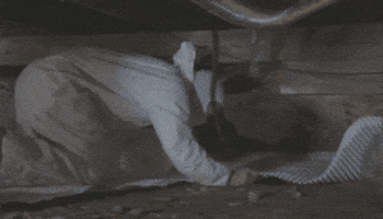Crawl Space GIF