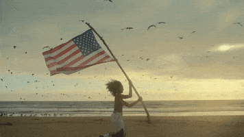 find you american flag GIF by Nick Jonas