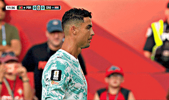 Ronaldo Portugal GIF