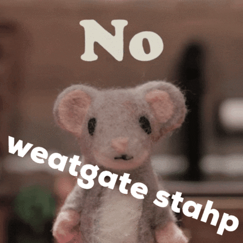 Weatgate Stahp GIF