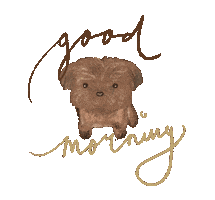 Morning Maltipoo Sticker