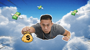 Money Flying GIF by The Perfect Trainer